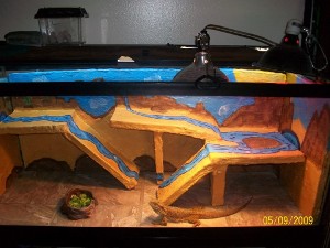 Bearded Dragon Habitat Decor