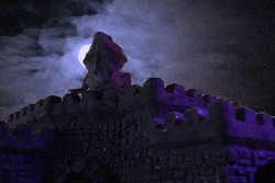 Bearded dragon on a castle