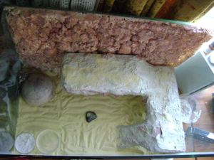 Gecko Enclosure