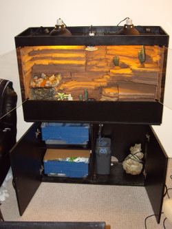 Leopard gecko cages