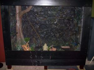 water dragon cage