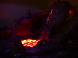 Lizard cage volcano