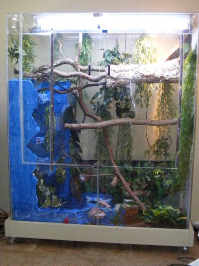 chinese water dragon cage