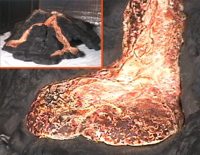 volcano model