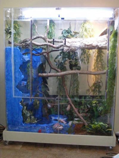 chinese water dragon cage chinese water dragon cage